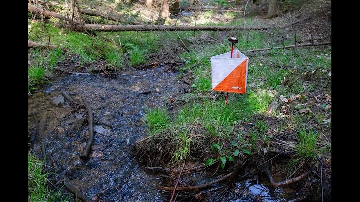 MSR v orientačnom behu na stredných tratiach a štafetách Kamenná Poruba 2023