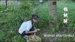 Longmeimei - Make Walnut Biscuit for My Child