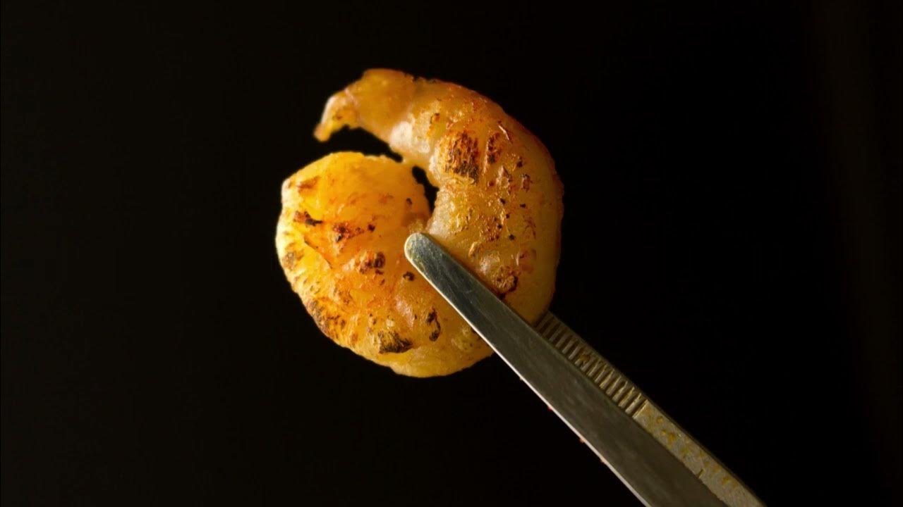 can i eat shrimp after tooth extraction