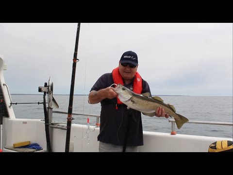 WSB Tackle Boat Rod Combos put through their paces aboard the Vanessa Jane, Penzance, Cornwall