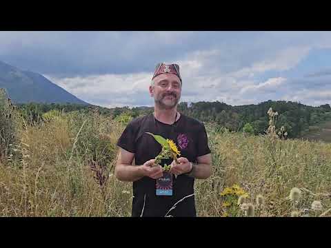 Narodni travar S01 E7 Rtanj Piramida