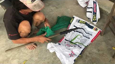 Chuyên gia bắt rắn lục đuôi đỏ bằng tay ko có khả năng kháng đọc khi bị rắn cắn