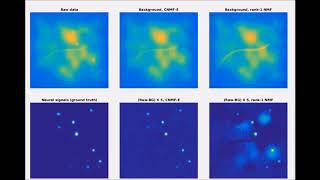 Efficient and accurate extraction of in vivo calcium signals from microendoscopic video data