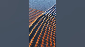 when two waves met #trending #nature #sea #shorts #short #shortvideo #video #youtubeshorts #youtube