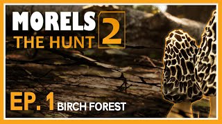 Morels: THe Hunt 2 | Ep. 1 | The Birch Forest