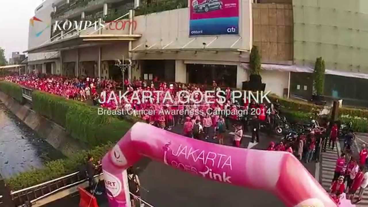 LOVEPINK INDONESIA - Breast Cancer Campaign 2014