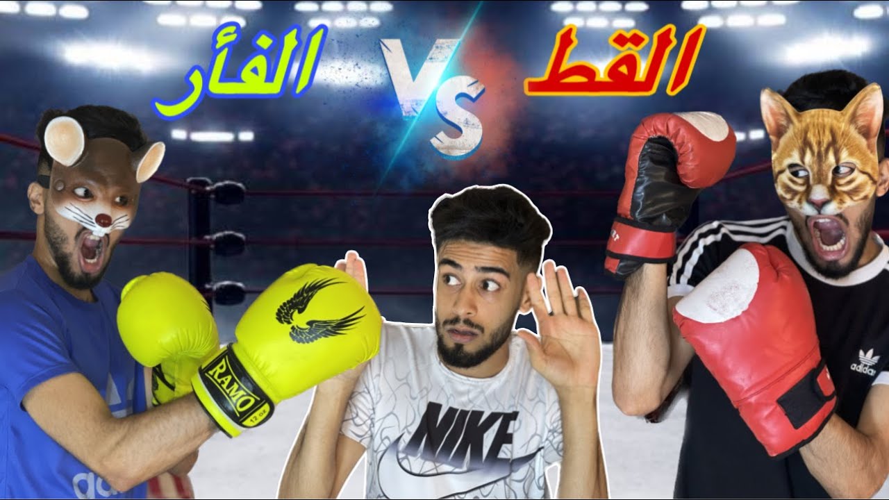 القط و الفأر