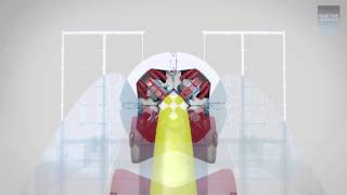 Maritime Developments 4-Track Pipelay Tensioner