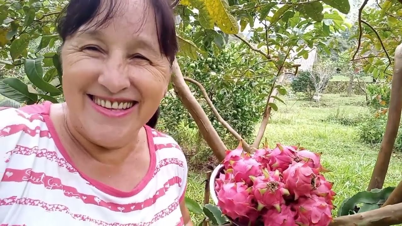 CONSEGUI CULTIVAR PITAYA ONDE TODOS AFIRMAVAM QUE NÃO DARIA CERTO!