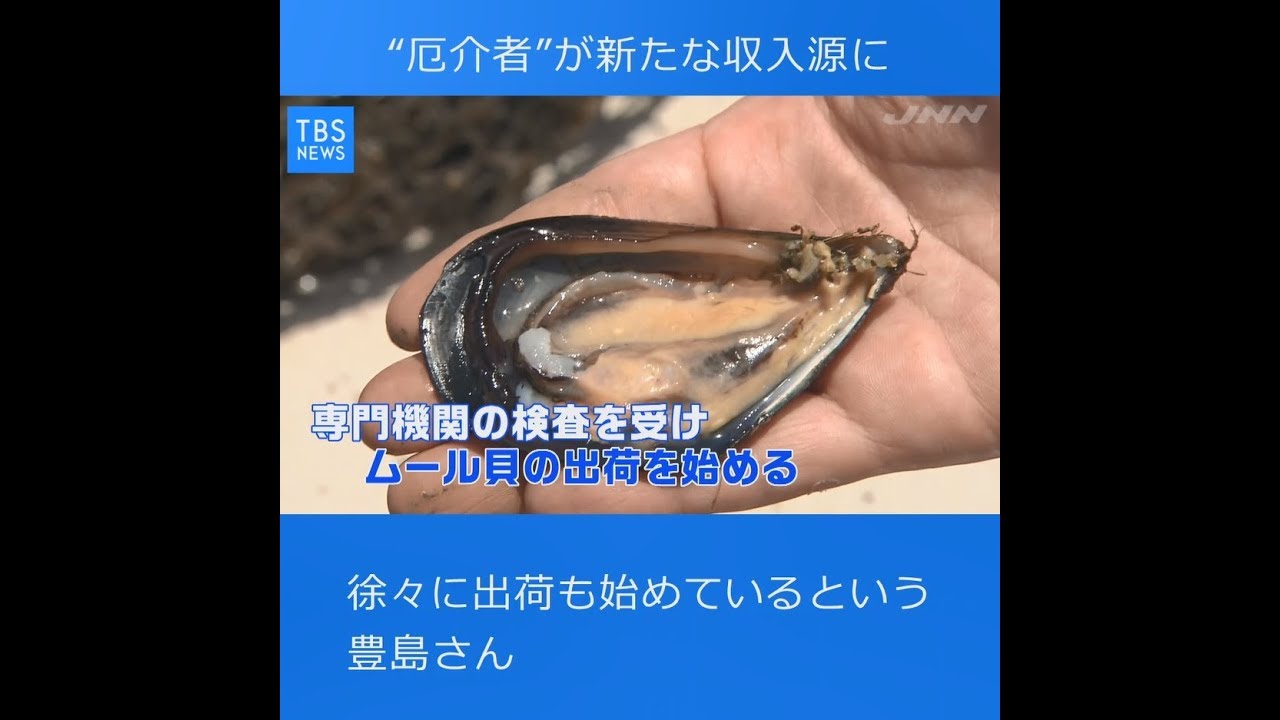 “厄介者”が、新たな収入源に【Nスタ545】