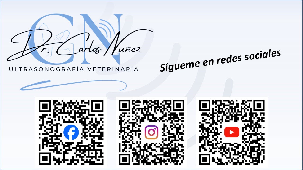 Cuadrantes del A-FAST en ecografía