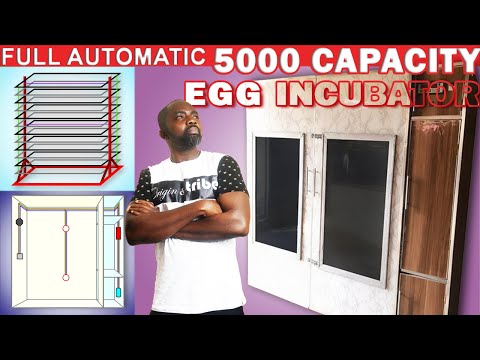 Build A Full Automatic 5000 Capacity Egg Incubator | Homemade Egg Hatching Machine | Easy Steps
