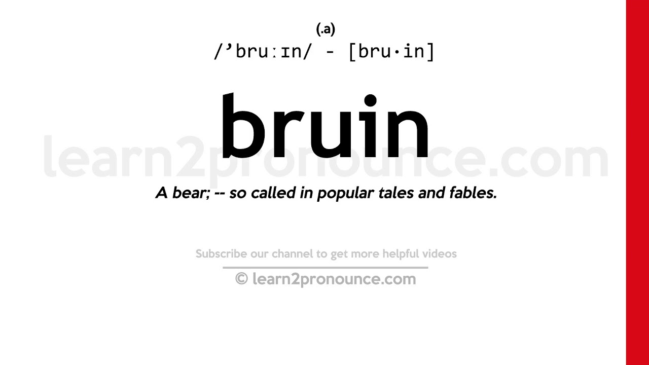 Pronunciation of Bruin Definition of Bruin YouTube