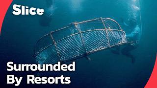 Urak Lawoi: Can Thailand’s Sea Nomads Coexist With Mass Tourism | SLICE | FULL DOCUMENTARY