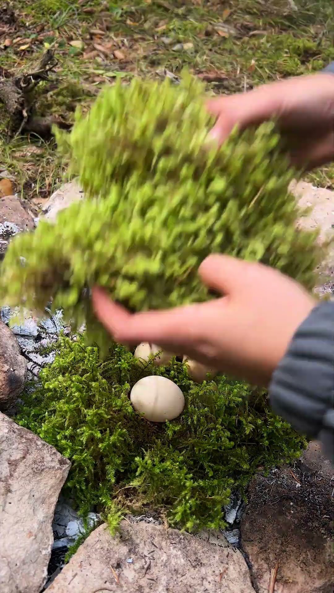 Wow! It was cool! #camping #survival #bushcraft #outdoors #cook #cooking