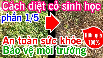 A69a Cách diệt cỏ sinh học, không dùng thuốc cỏ? an toàn sức khỏe bảo vệ môi trường...? ( phần 1/5 )