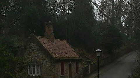 تلاوة هادئة من سورة النساء _للقارئ عبدالرحمن الماجد 