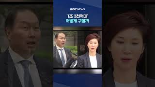 SK그룹 지배구조 흔드나 #Shorts (MBC뉴스)