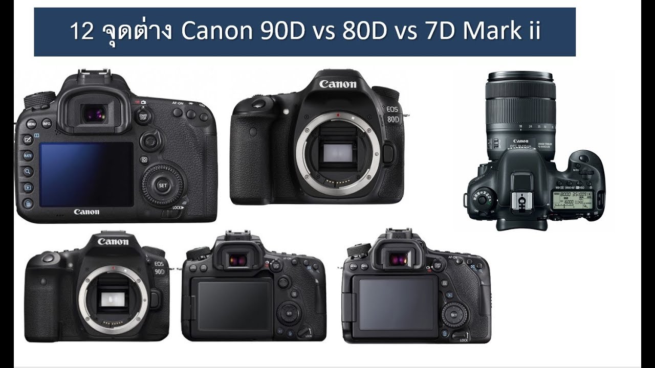 Canon EOS 90D Vs 80D An Examination of Canon’s Mirrorless cameras