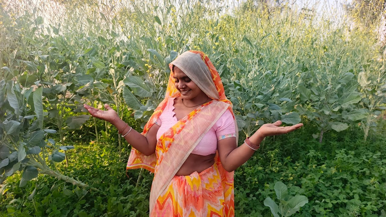 Kitna Pyara Khet🥦🍅🫑#dailyvlog #minivlog #longvideo #vlog 
