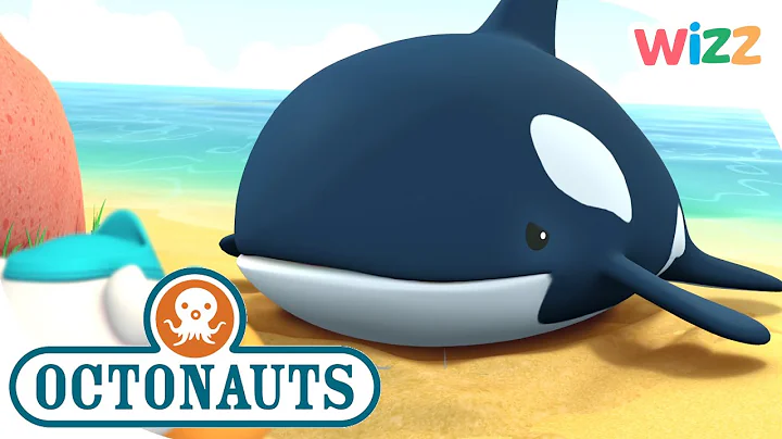 @Octonauts - Tracking The Orca Whale | Wizz | Cartoons for Kids