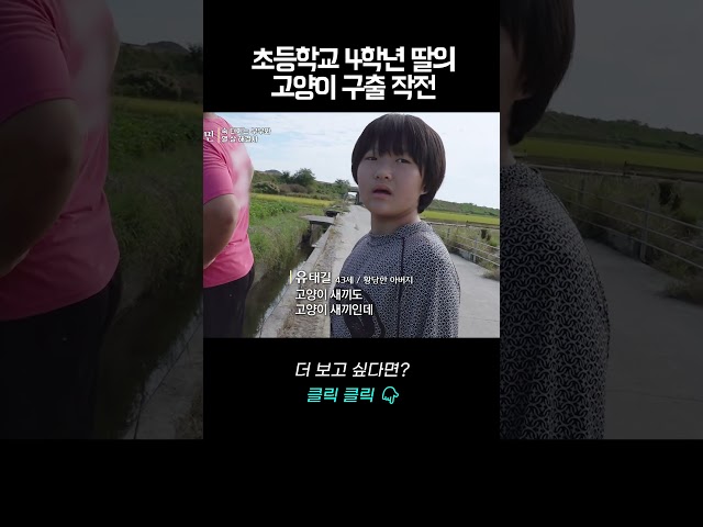 초등학교 4학년 딸의 고양이 구출 작전 | 바로보는 사노라면