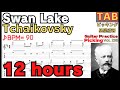 Swan Lake TAB Electric Guitar Intensive Repetition 白鳥の湖 TAB エレキギター徹底反復練習