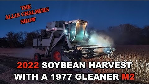 Allis Chalmers Show:  Soybean Harvest With A 1977 Gleaner M2 Allis Chalmers Combine