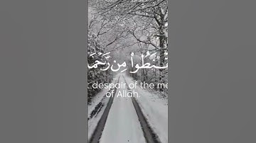 #صلوا_على_النبي #القرآن_الكريم #تلاوة_خاشعة #محمداللحيدان #تلاوة_هادئة #أهل_السنة_والجماعة #اكسبلور
