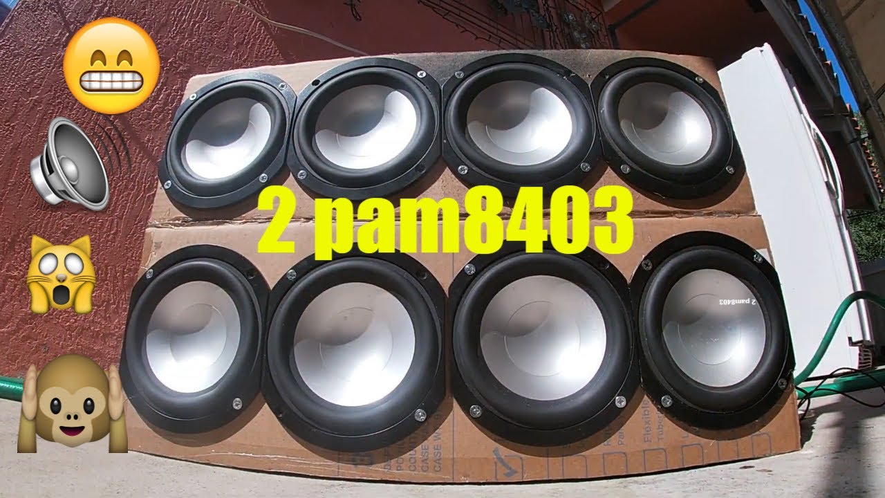 pam8403 subwoofer