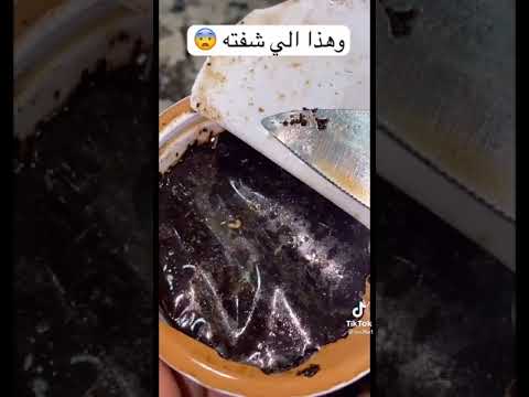 احذرو من قهوة ستار بوكس