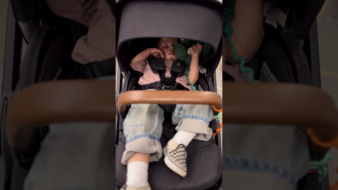 Naptime 😴 - YouTube
