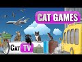 Jeux de chat  aventure de voyage avec cat tv  vidos 4k  regarder pour les chats 