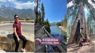 Sequoia National Park Vlog | One Day Getaway ⛰