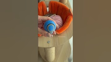 Automatic Rolling Ball for Cats #RollingCatToy #CatProductTested #CatParentLife  #HappyCatGear