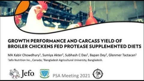 Growth Performance & Carcass Yield of Broiler Chickens Fed Protease Supplemented Diets