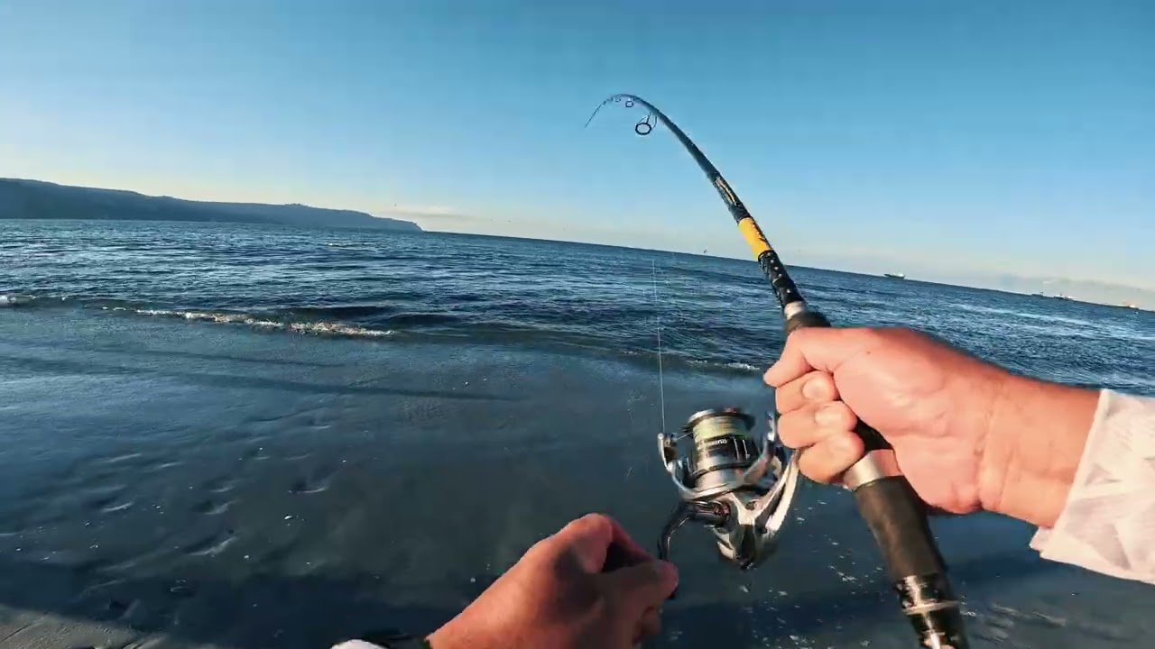 Pesca de Bonito XL Mejillones - Chile 2026