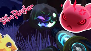 Sizce ben Slime Rancher'da bütün çiftliği yanlışlıkla yok etmiş miyimdir