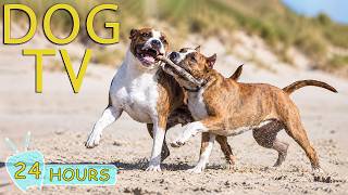 DOG TV: Videos All-Day Entertain for Dogs to Watch While Home Alone - Prevent Boredom Music for Dogs screenshot 1