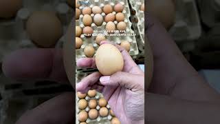 Are Spotted Eggs Safe to Eat? Tips for Choosing the Right Eggs | How to Choose Fresh, Quality Eggs
