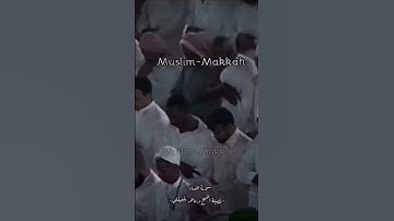 ~تلاوة فضيلة الشيخ د.ماهر المعيقلي~ حفظه الله و رعاه🤍 #ماهرالمعيقلي