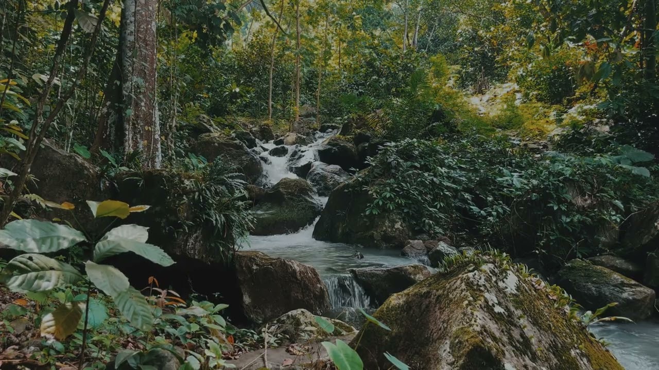 HD 1080 p River Flow | Real Natural Sounds,No Talking