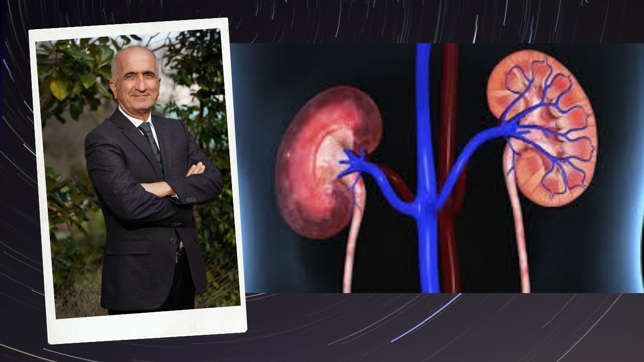 BÖBREK SAĞLIĞI VE KRONİK BÖBREK YETMEZLİĞİ  -  I
