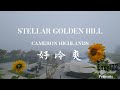 Stellar Golden Hill Cameron Highlands