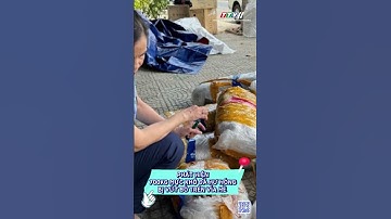 Phát hiện 700kg mực khô đã hư hỏng bị vứt bỏ trên vỉa hè