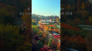 Autumn In Seoul Is Truly Magical