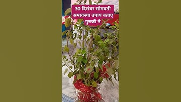 30 दिसंबर सोमवती अमावस्या उपाय बताएं गुरुजी ने #amavasya #upay #pradeepmishrasehorewalekeupay