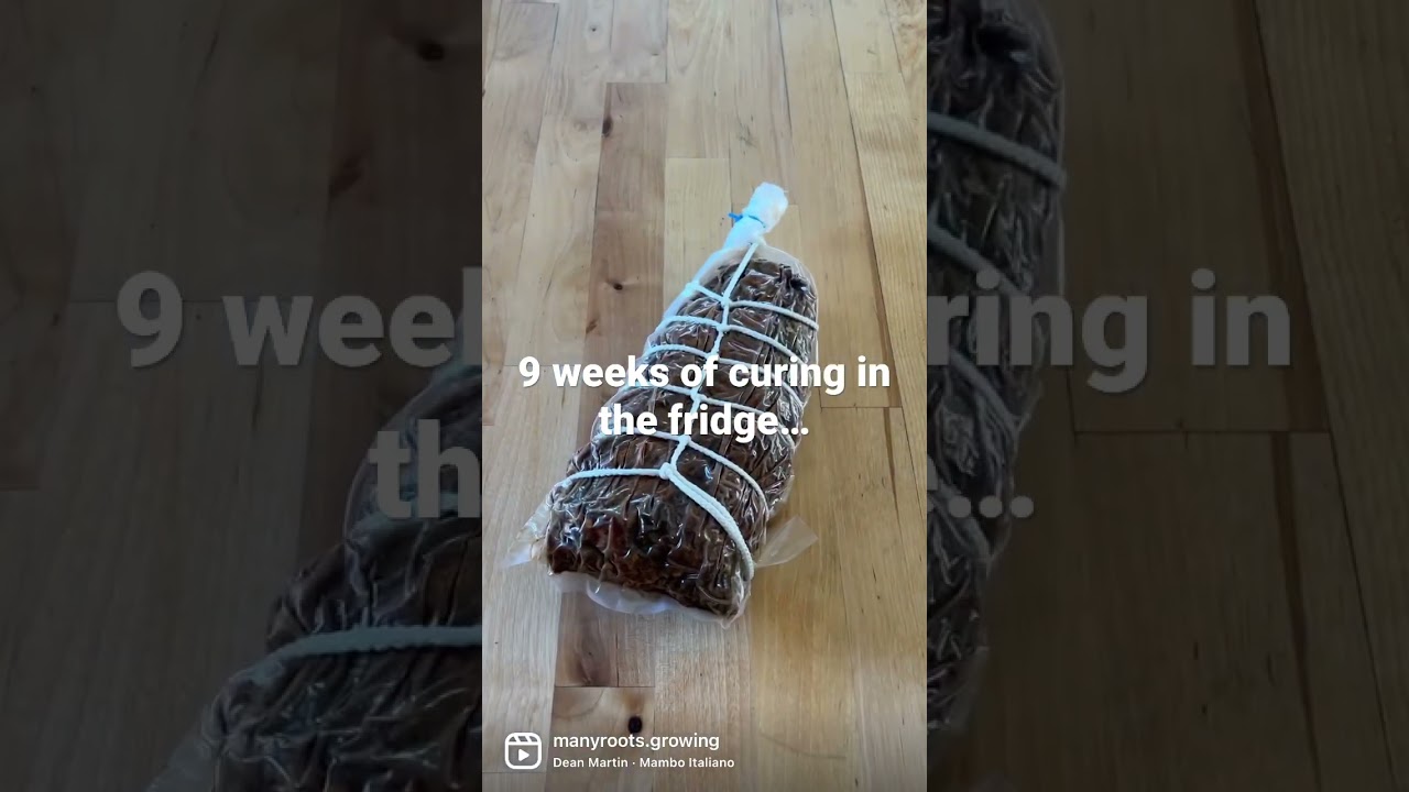 Made my first Capicola