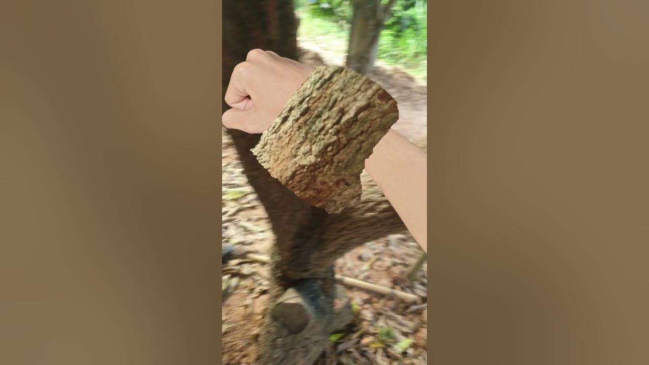 can-you-cut-a-tree-youtube