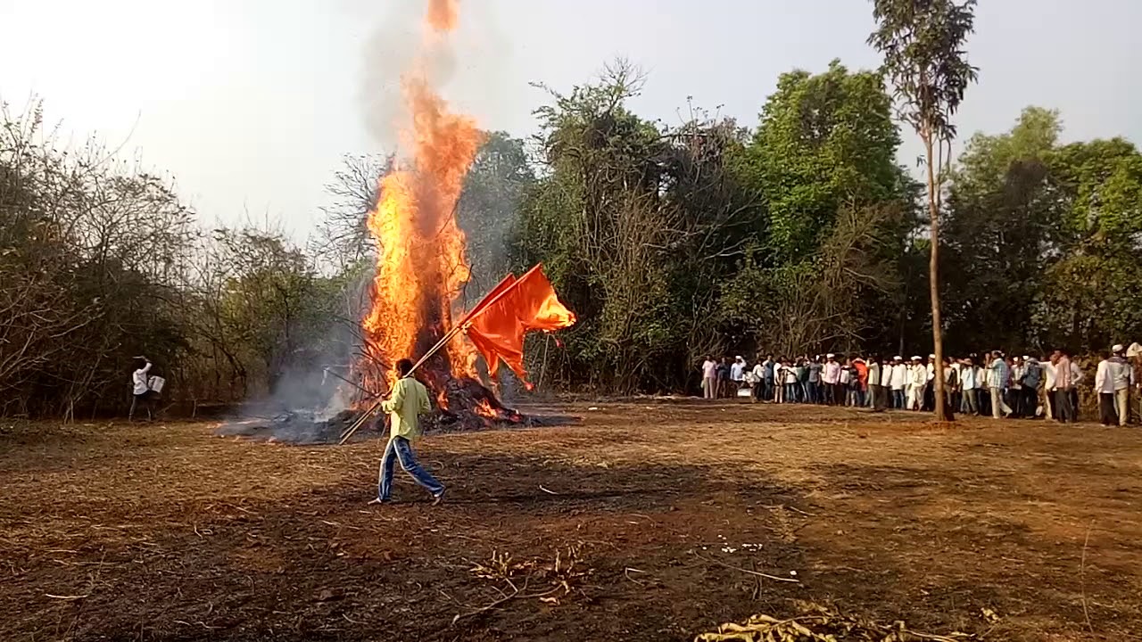 Gimavi gav holi moastav
